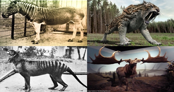 List of Top 10 Extinct Animals - The Rarest and the Strangest